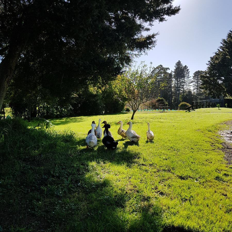 Poripori Homestead Tauranga Buitenkant foto